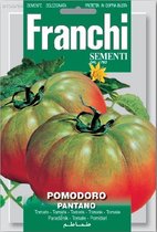 Franchi - Pomodoro Pantano - groengele tomaat