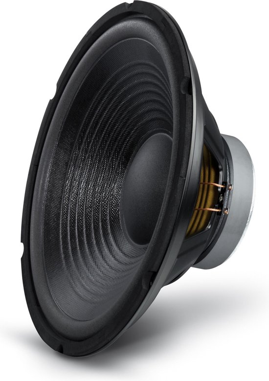 Geestelijk Huiswerk maken Aanpassing Losse woofer PA Bass Speaker 12 inch/30cm 300 Watt 8 Ohm met foamrand en  geventileerde... | bol.com