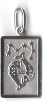 Robimex Collection Hanger Sterrenbeeld Vis - Zilver
