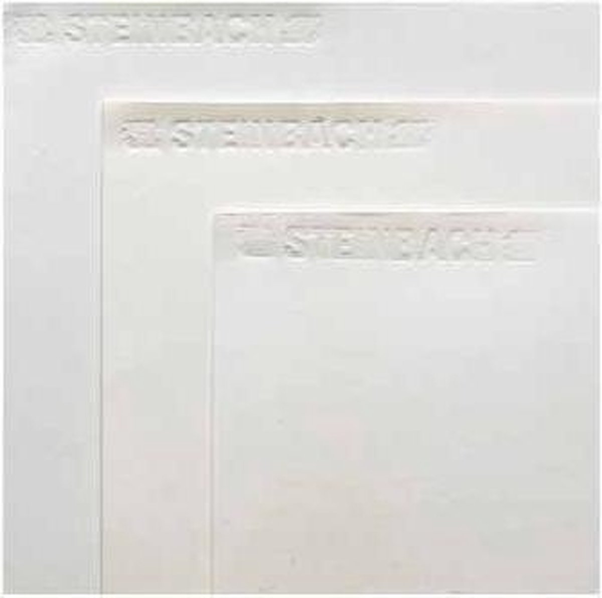 Tekenpapier Steinbach 200 g/m² formaat 55 x 73 cm
