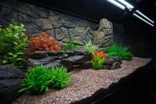Suchergebnis Auf Für: Terrarium Rückwand 120 Suchergebnis Auf Für: Terrarium Rückwand 120