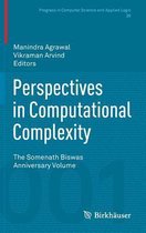 Perspectives in Computational Complexity