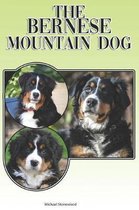 The Bernese Mountain Dog