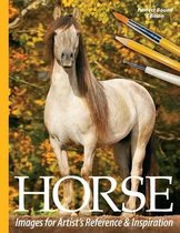 Horse Images for Artist's Reference and Inspiration