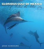Gulf Coast Books, sponsored by Texas A&M University-Corpus Christi 28 - Glorious Gulf of Mexico