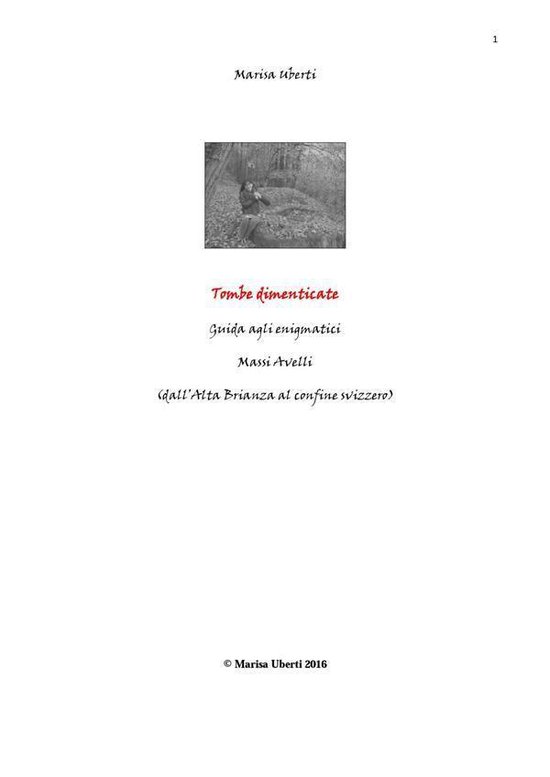 TOMBE DIMENTICATE. Guida agli enigmatici Massi Avelli (dall' ... - cover