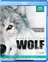 BBC Earth - Expedition Wolf (Blu-ray)