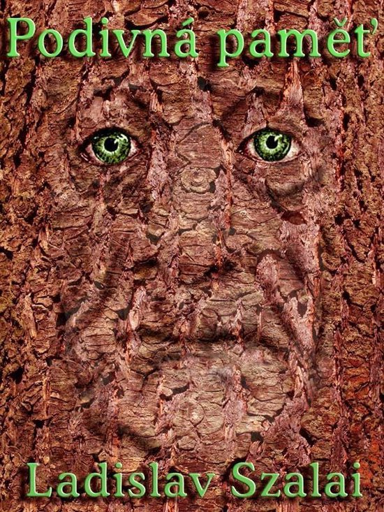 Podivná paměť - cover