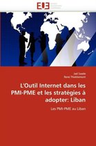 L'Outil Internet dans les PMI-PME et les stratégies à adopter: Liban