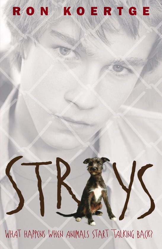 Strays - cover