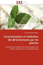 Caractérisation et inhibition des ß-lactamases par les plantes