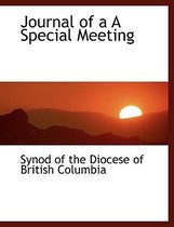 Journal of A A Special Meeting