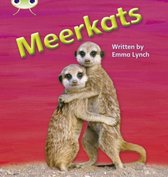 Phonics Bug: Meerkats Phase 5 (N-F)