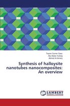 Synthesis of halloysite nanotubes nanocomposites