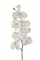 Kunstbloem Orchidee tak 100 cm wit