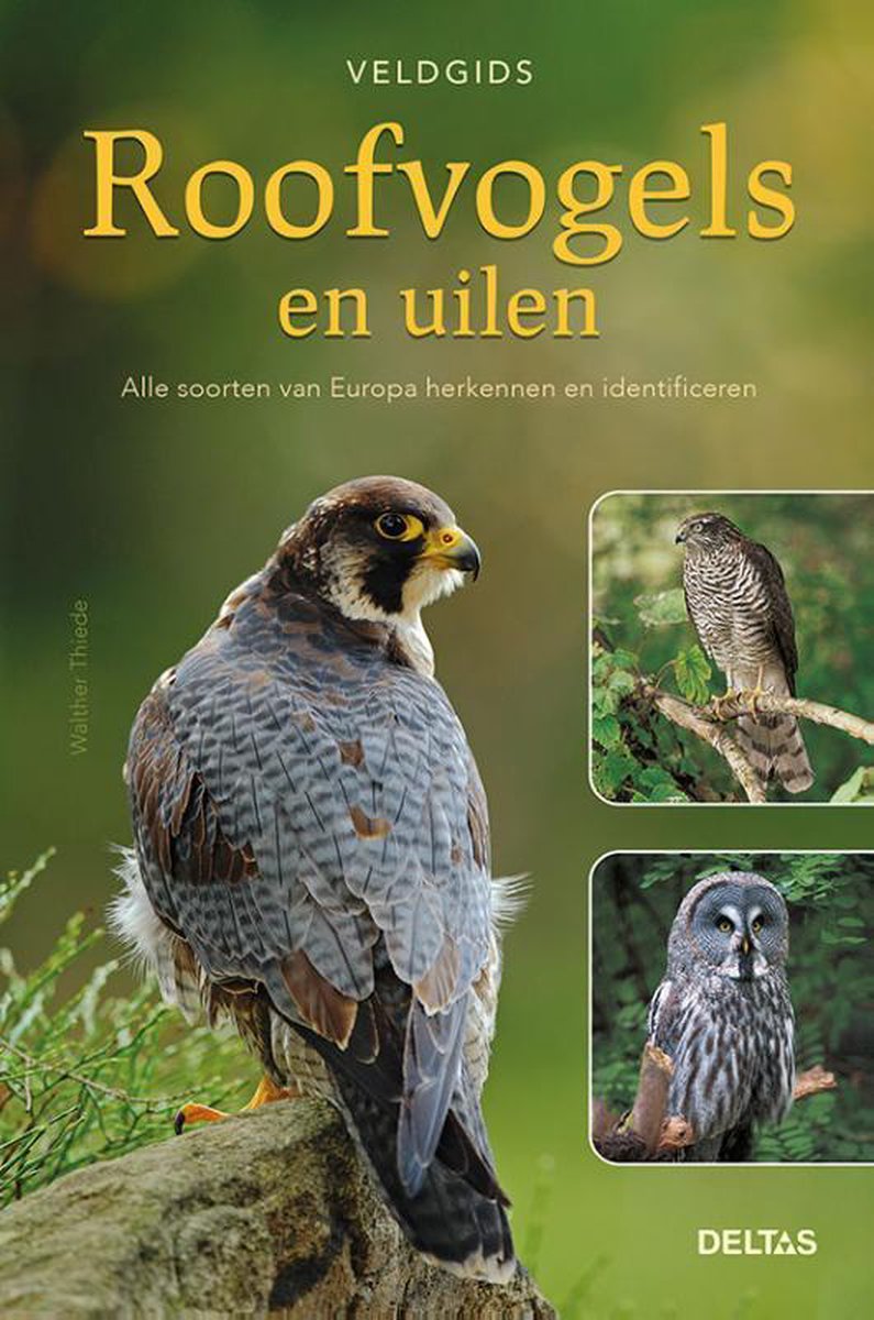 Veldgids - Roofvogels en uilen - Walther Thiede