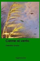 Canne al vento