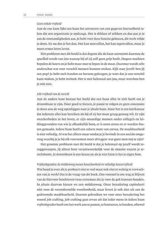 Mooi werk: een boek over de zin van werk en de keuzes die je maakt.