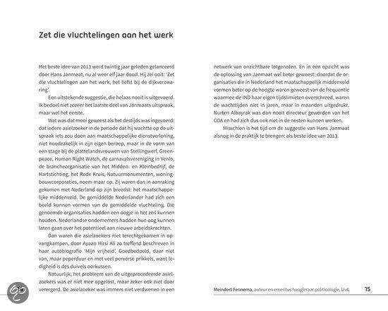 Het beste idee van 2013