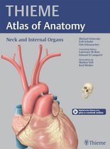 Cluster Abdomen - Anatomy