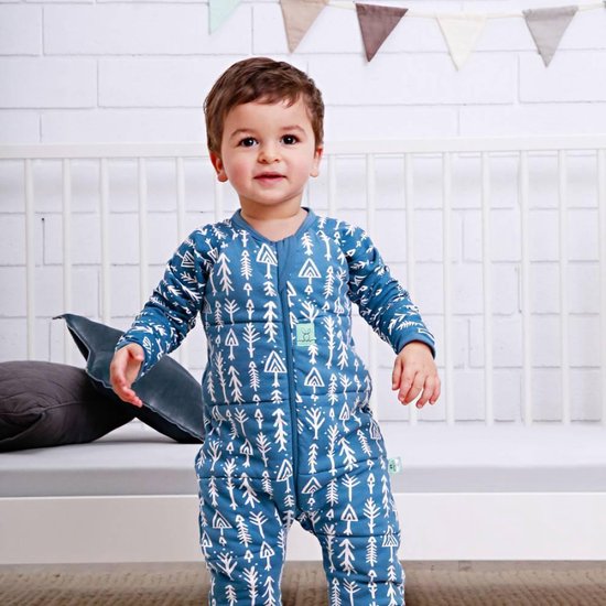ergoPouch Baby Pyjama Onesie Met Rits WINTER - TOG 2.5 (BLAUW, 2y) | bol.com