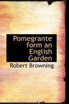 Pomegrante Form an English Garden