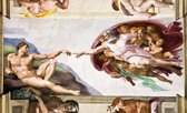 REINDERS Michelangelo Schepping van Adam - Fotobehang - 368x254cm