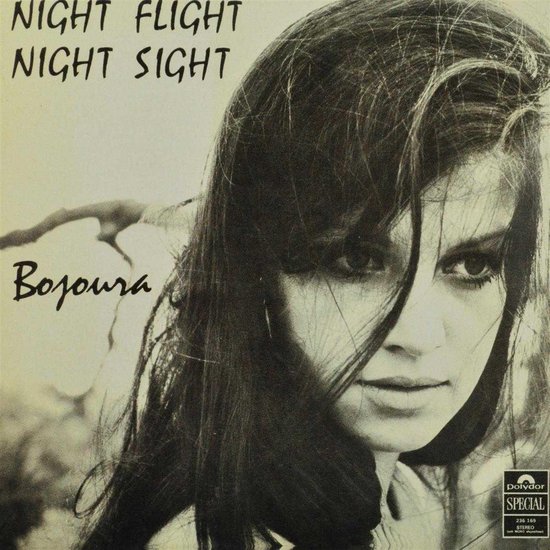 Night Flight Night Sight