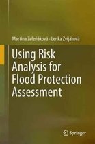 Using Risk Analysis for Flood Protection Assessment