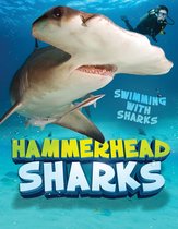 Swimming with Sharks - Hammerhead Sharks