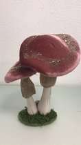 Zacht beeld - paddenstoel
