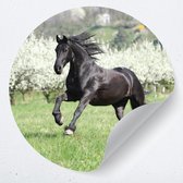 Muurcirkel paard | Zelfklevende behangcirkel kinderkamer dieren | Muurdecoratie accessoires | muursticker paard galloperend