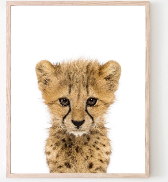 Poster Jungle / Safari Baby Cheeta - 50x40cm - Baby / Kinderkamer - Dieren Poster - Muurdecoratie