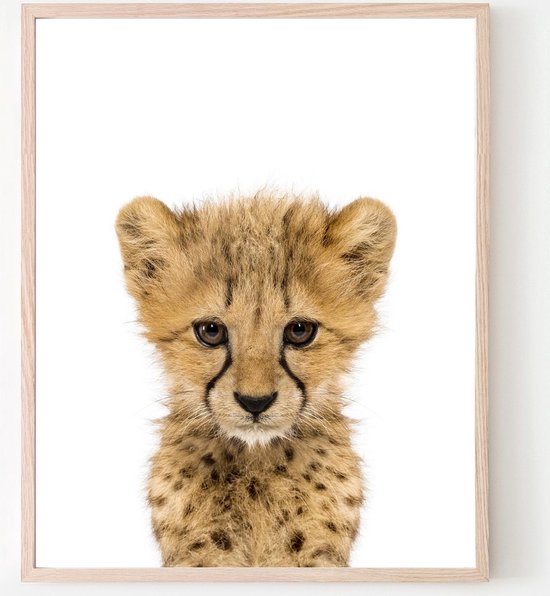 Poster Jungle / Safari Baby Cheeta - 70x50cm - Baby / Kinderkamer - Dieren Poster - Muurdecoratie