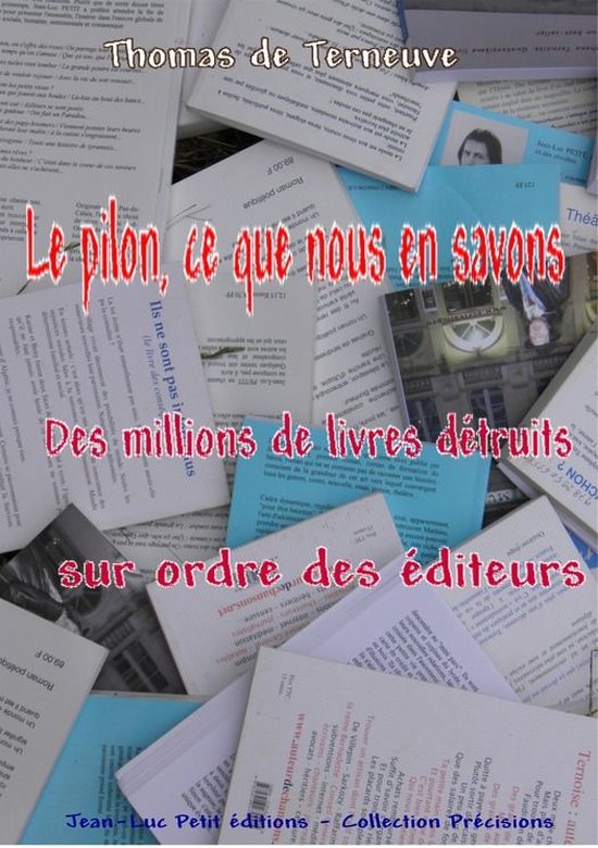 précisions - Le pilon, ce que nous en savons - cover