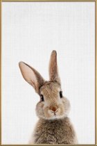 JUNIQE - Poster met kunststof lijst Baby konijn kleurenfoto -40x60