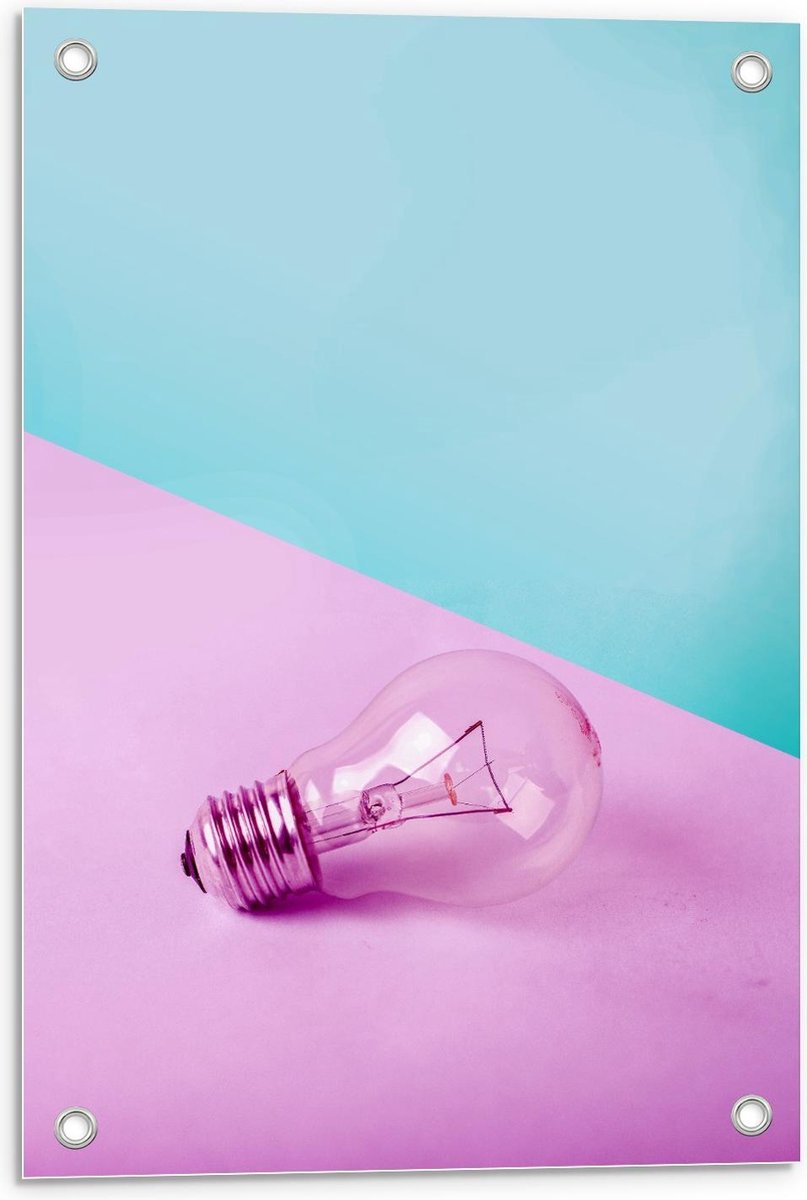Tuinposter – Gloeilamp Roze/Blauwe Achtergrond - 40x60cm Foto op Tuinposter (wanddecoratie