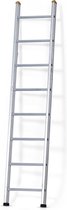 Castrex Easypro Enkele Ladder 16 sporten