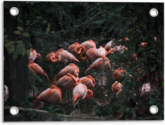Tuinposter – Groep Flamingo's in Bossen - 40x30cm Foto op Tuinposter  (wanddecoratie voor buiten en binnen)