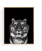 Poster Safari Tijger Hoofd - zwart / wit - 70x50cm - Safari Jungle Dieren - Muurdecoratie