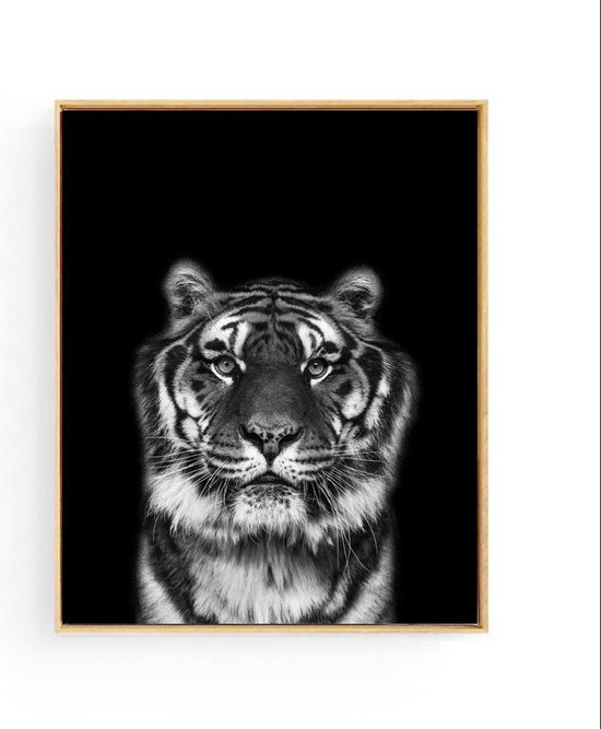 Affiche Safari Tête de Tigre - noir / blanc - 70x50cm - Safari Jungle Animaux - Décoration murale