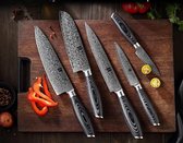 Luxe en Professionele 5-delige Keukenmessen-set van Damascus Staal (67 lagen, VG10) | Xinzuo B20 Series