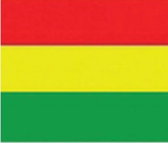 Vlag bij 150 cm, inc koord, Rood/ geel/ groen, Carnaval | bol.com