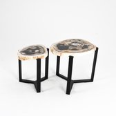Petrified Wood Table set