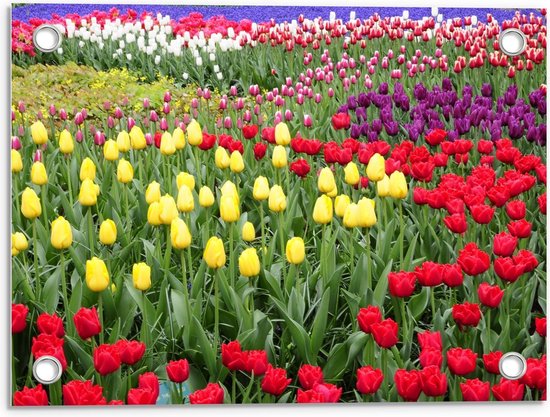 Tuinposter – Tulpen in het Keukenhof Nederland - 40x30cm Foto op Tuinposter  (wanddecoratie voor buiten en binnen)