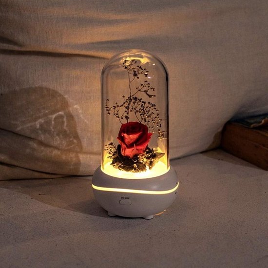 Verlichte witte aromadiffuser met rode roos onder glazen stolp in een gezellige setting.