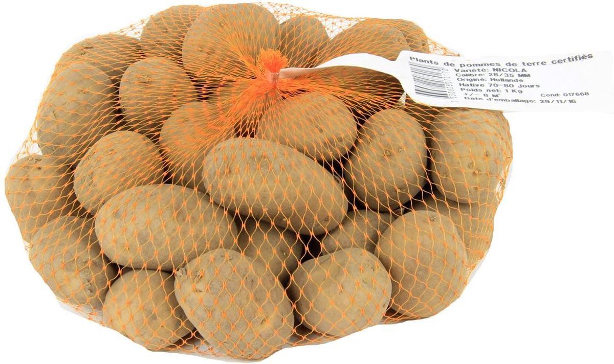 Aardappel Dore (1 KG Vroeg) | Pootaardappel