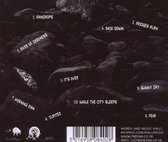 Kalli - While The City Sleeps (CD)