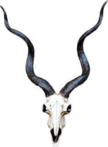 Geit poly schedel hangend - Gems of Berggeit trofee - dierenhoofd polyresin - muur decoratie - 64 cm hoog