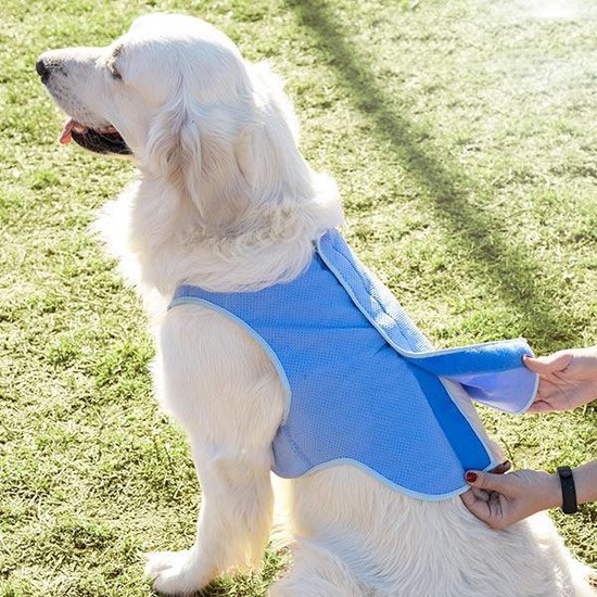 InnovaGoods Verkoelend Vest voor Grote Huisdieren - L